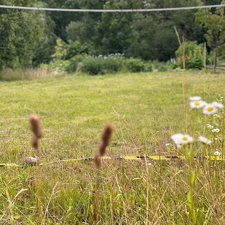 Glamping Triju Zvaigzduciu Palapine Vilniuje